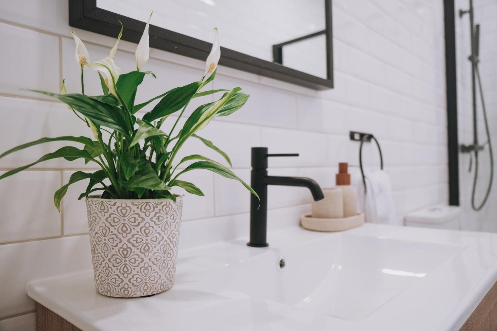 Casinha Amarela Apartment ฟิเกราดาฟอซ ภายนอก รูปภาพ